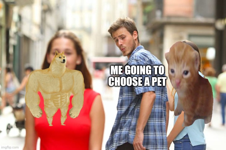 Going to Choose a pet | ME GOING TO CHOOSE A PET | image tagged in memes,distracted boyfriend | made w/ Imgflip meme maker