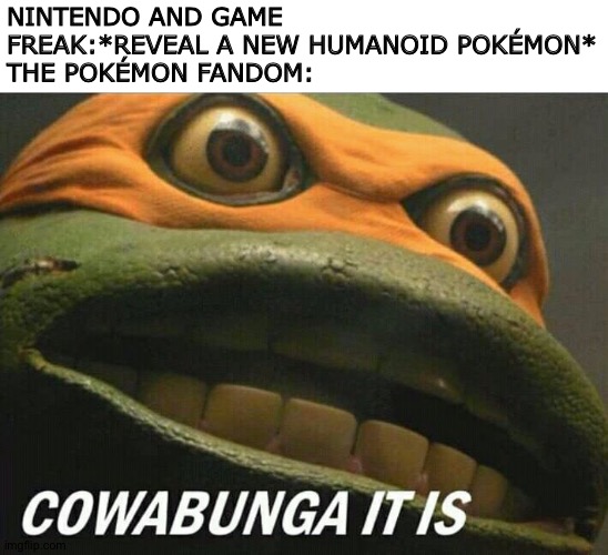 That's why people need to Stop complaining about Humanoid Pokémon | NINTENDO AND GAME FREAK:*REVEAL A NEW HUMANOID POKÉMON*
THE POKÉMON FANDOM: | image tagged in cowabunga it is | made w/ Imgflip meme maker