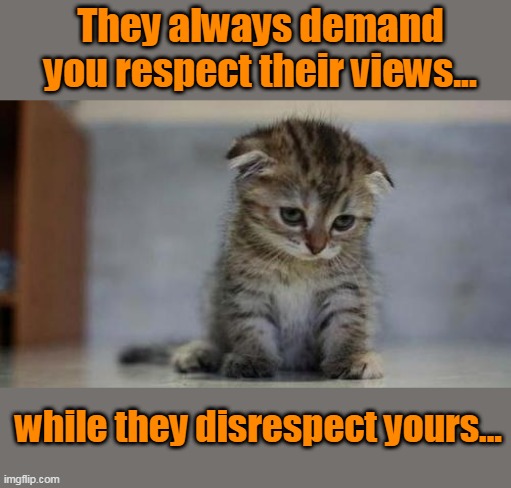And why this nation will not recover... |  They always demand you respect their views... while they disrespect yours... | image tagged in sad kitten,extremists,npcs,communists,socialists,fascists | made w/ Imgflip meme maker