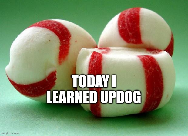 Mints | TODAY I LEARNED UPDOG | image tagged in mints | made w/ Imgflip meme maker