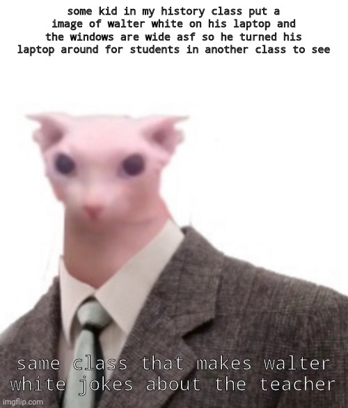 how are y'all beings | some kid in my history class put a image of walter white on his laptop and the windows are wide asf so he turned his laptop around for students in another class to see; same class that makes walter white jokes about the teacher | image tagged in bingus | made w/ Imgflip meme maker