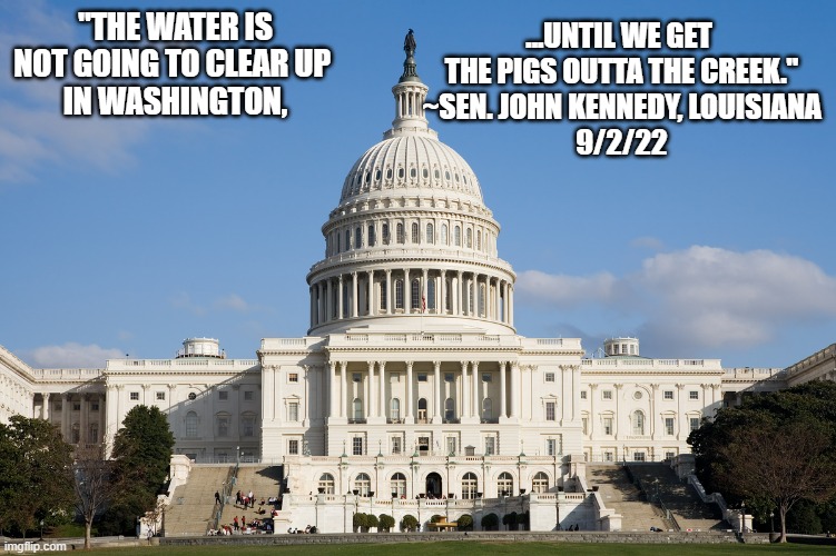Not Israel nor Ishmael, Jewish/Islamic problem, as it involves pork. | "THE WATER IS NOT GOING TO CLEAR UP 
IN WASHINGTON, ...UNTIL WE GET 
THE PIGS OUTTA THE CREEK."

~SEN. JOHN KENNEDY, LOUISIANA
9/2/22 | image tagged in us capitol,they hated jesus because he told them the truth,nancy pelosi,birth control,adam schiff,abortion is murder | made w/ Imgflip meme maker