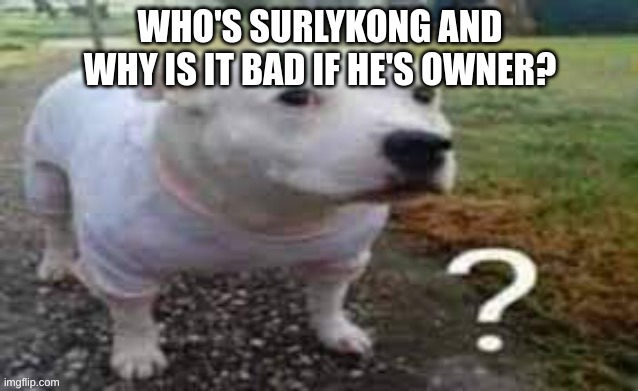 imagine spire being owner of the stream again and he just deletes the entire stream | WHO'S SURLYKONG AND WHY IS IT BAD IF HE'S OWNER? | image tagged in memes,funny,dog question mark,surlykong,owner,msmg | made w/ Imgflip meme maker