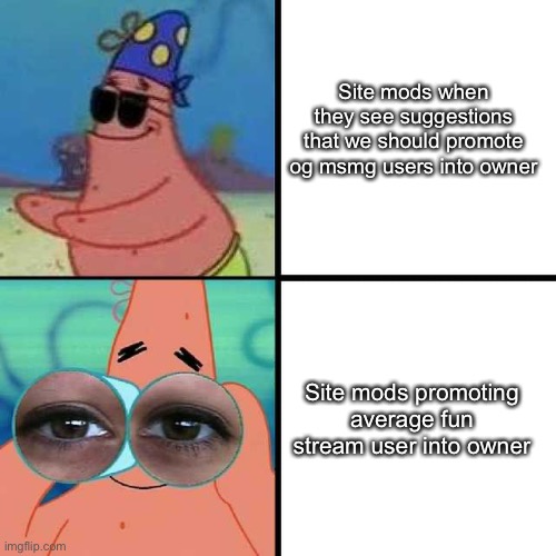 Patrick Star Blind | Site mods when they see suggestions that we should promote og msmg users into owner; Site mods promoting average fun stream user into owner | image tagged in patrick star blind | made w/ Imgflip meme maker