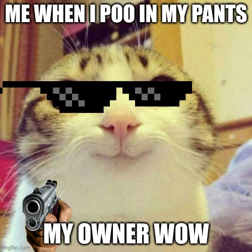 Fortnite battle pass | ME WHEN I POO IN MY PANTS; MY OWNER WOW | image tagged in memes,smiling cat | made w/ Imgflip meme maker
