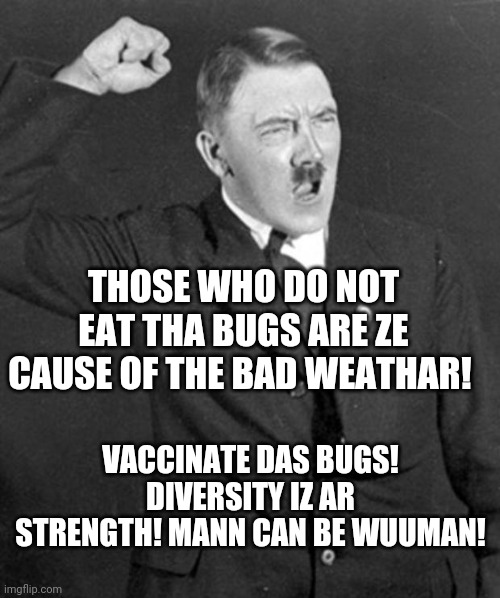 Paid for by the democratic party | THOSE WHO DO NOT EAT THA BUGS ARE ZE CAUSE OF THE BAD WEATHAR! VACCINATE DAS BUGS! DIVERSITY IZ AR STRENGTH! MANN CAN BE WUUMAN! | image tagged in angry hitler | made w/ Imgflip meme maker