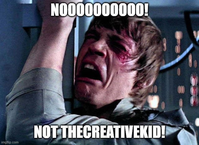 Nooo | NOOOOOOOOOO! NOT THECREATIVEKID! | image tagged in nooo | made w/ Imgflip meme maker