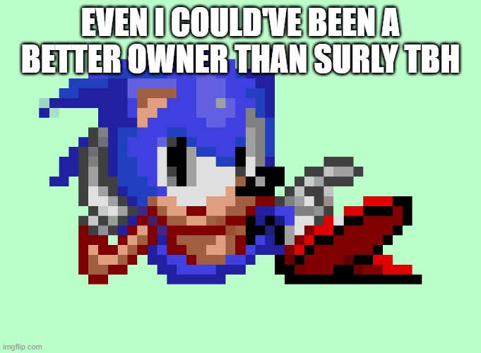 Sonic waiting | EVEN I COULD'VE BEEN A BETTER OWNER THAN SURLY TBH | image tagged in sonic waiting | made w/ Imgflip meme maker