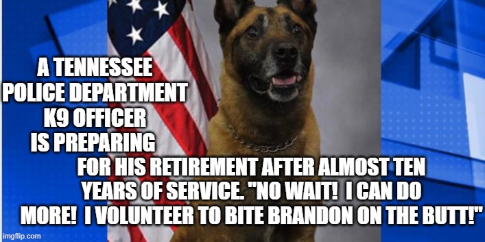 One dedicated and patriotic dog. | A TENNESSEE POLICE DEPARTMENT K9 OFFICER IS PREPARING; FOR HIS RETIREMENT AFTER ALMOST TEN YEARS OF SERVICE. "NO WAIT!  I CAN DO MORE!  I VOLUNTEER TO BITE BRANDON ON THE BUTT!" | image tagged in patriotic | made w/ Imgflip meme maker