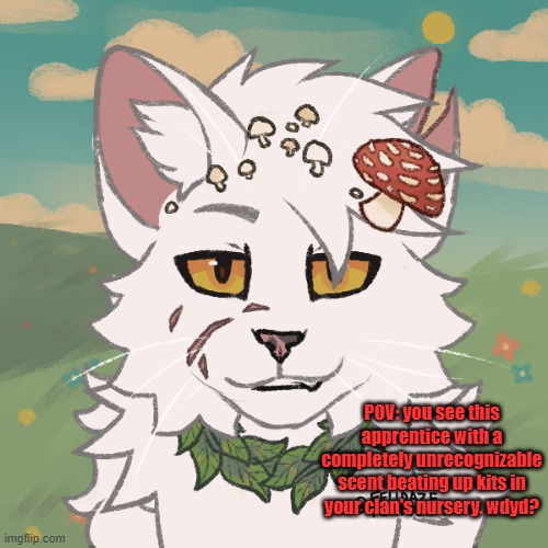 WARRIOR CATS OCS ONLY IDC IF THEYRE LEADERS OR QUEENS OR KITS OR SOME SHIT, WARRIOR CATS OCS ONLY- | POV: you see this apprentice with a completely unrecognizable scent beating up kits in your clan's nursery. wdyd? | made w/ Imgflip meme maker