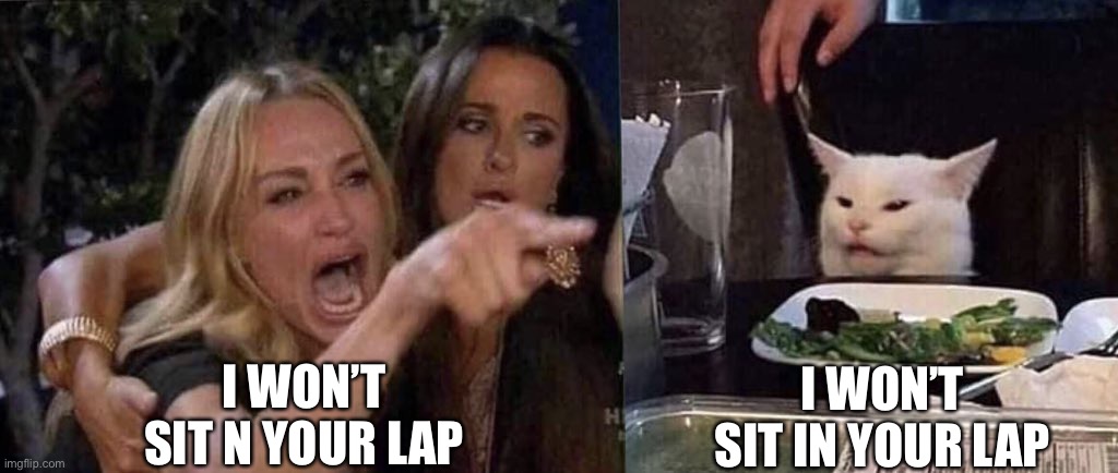 woman yelling at cat | I WON’T SIT N YOUR LAP; I WON’T SIT IN YOUR LAP | image tagged in woman yelling at cat | made w/ Imgflip meme maker