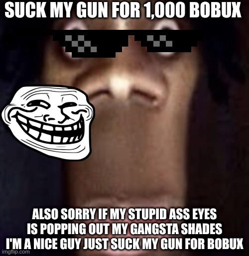 Quandale dingle | SUCK MY GUN FOR 1,000 BOBUX; ALSO SORRY IF MY STUPID ASS EYES IS POPPING OUT MY GANGSTA SHADES I'M A NICE GUY JUST SUCK MY GUN FOR BOBUX | image tagged in quandale dingle | made w/ Imgflip meme maker