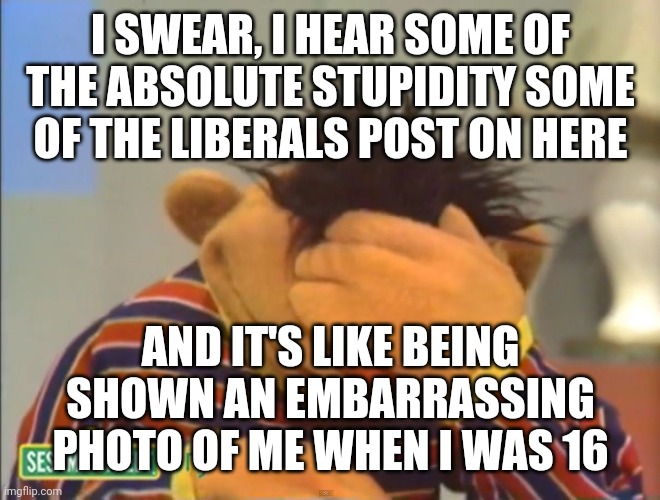 Face palm Ernie  | I SWEAR, I HEAR SOME OF THE ABSOLUTE STUPIDITY SOME OF THE LIBERALS POST ON HERE; AND IT'S LIKE BEING SHOWN AN EMBARRASSING PHOTO OF ME WHEN I WAS 16 | image tagged in face palm ernie | made w/ Imgflip meme maker