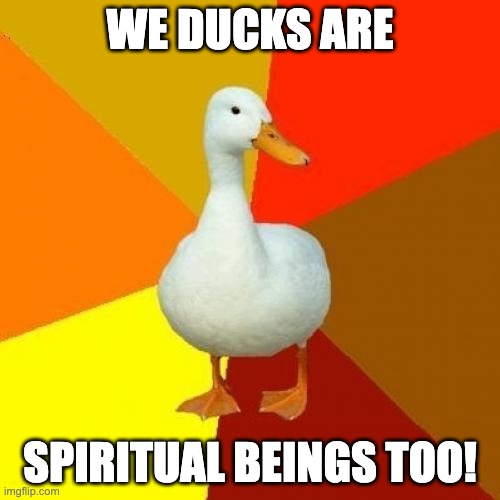 ENLIGHTENED DUCK | WE DUCKS ARE; SPIRITUAL BEINGS TOO! | image tagged in memes,tech impaired duck,enlightened,duck | made w/ Imgflip meme maker