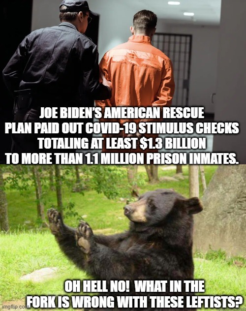 True story.  Sad, isn't it? | JOE BIDEN’S AMERICAN RESCUE PLAN PAID OUT COVID-19 STIMULUS CHECKS TOTALING AT LEAST $1.3 BILLION TO MORE THAN 1.1 MILLION PRISON INMATES. OH HELL NO!  WHAT IN THE FORK IS WRONG WITH THESE LEFTISTS? | image tagged in truth | made w/ Imgflip meme maker