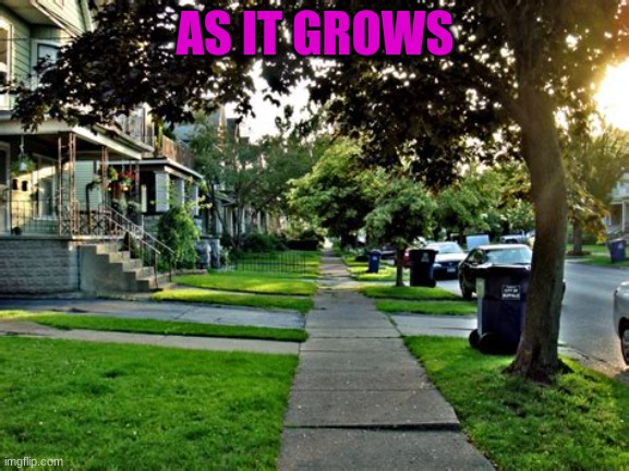 part 2 | AS IT GROWS | image tagged in neighborhood | made w/ Imgflip meme maker
