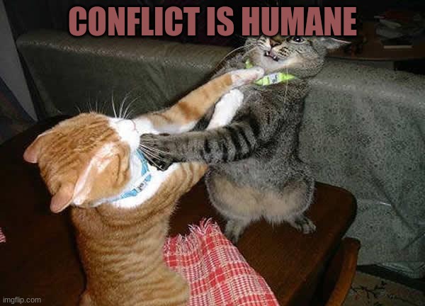 part 3 | CONFLICT IS HUMANE | image tagged in two cats fighting for real | made w/ Imgflip meme maker