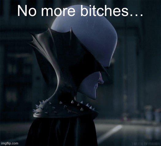No more bitches… | image tagged in no more bitches | made w/ Imgflip meme maker