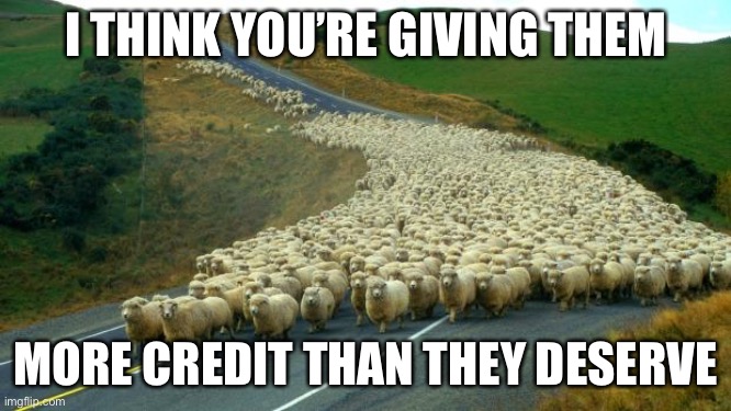 sheep | I THINK YOU’RE GIVING THEM MORE CREDIT THAN THEY DESERVE | image tagged in sheep | made w/ Imgflip meme maker