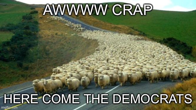 sheep |  AWWWW CRAP; HERE COME THE DEMOCRATS | image tagged in sheep,political meme,stupid liberals,libtards,so true | made w/ Imgflip meme maker