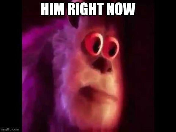 Sully Groan | HIM RIGHT NOW | image tagged in sully groan | made w/ Imgflip meme maker