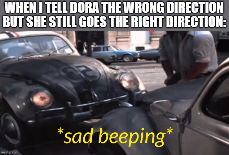 sad beeping | WHEN I TELL DORA THE WRONG DIRECTION BUT SHE STILL GOES THE RIGHT DIRECTION: | image tagged in sad beeping | made w/ Imgflip meme maker