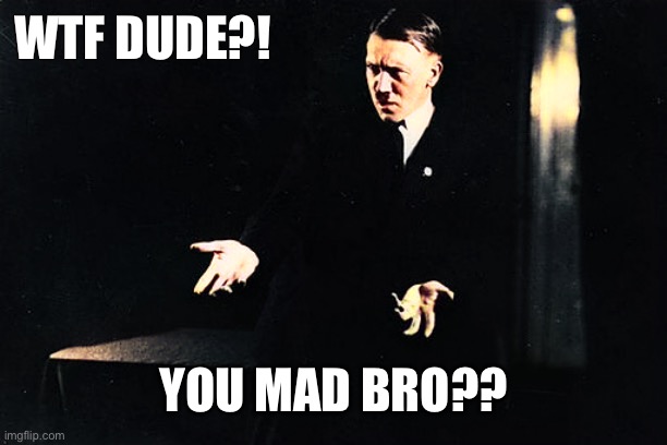 WTF Hitler | WTF DUDE?! YOU MAD BRO?? | image tagged in adolf hitler,wtf,you mad bro | made w/ Imgflip meme maker