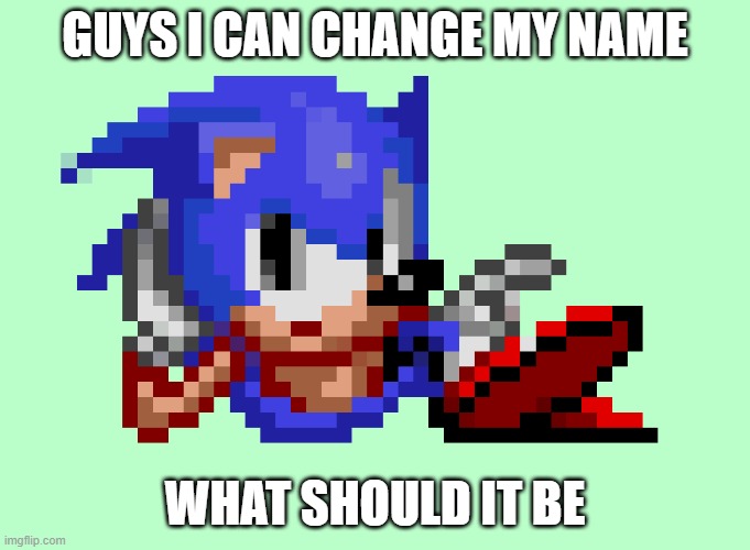 Sonic waiting | GUYS I CAN CHANGE MY NAME; WHAT SHOULD IT BE | image tagged in sonic waiting | made w/ Imgflip meme maker