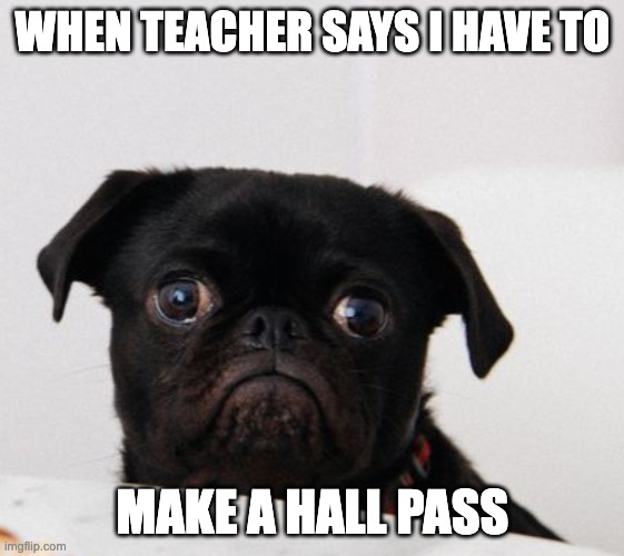 school | WHEN TEACHER SAYS I HAVE TO; MAKE A HALL PASS | image tagged in hall pass students school | made w/ Imgflip meme maker