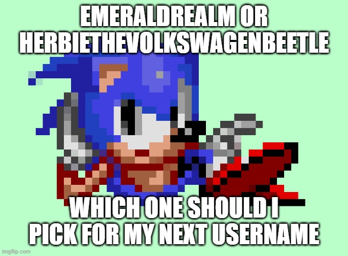 Sonic waiting | EMERALDREALM OR HERBIETHEVOLKSWAGENBEETLE; WHICH ONE SHOULD I PICK FOR MY NEXT USERNAME | image tagged in sonic waiting | made w/ Imgflip meme maker