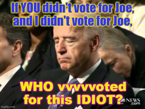 If YOU didn't vote for Joe, and I didn't vote for Joe, WHO vvvvvoted for this IDIOT? | If YOU didn't vote for Joe,
and I didn't vote for Joe, WHO vvvvvoted for this IDIOT? | image tagged in sleepy joe biden | made w/ Imgflip meme maker