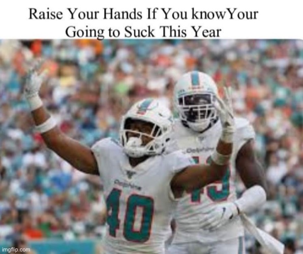 image tagged in miami dolphins | made w/ Imgflip meme maker