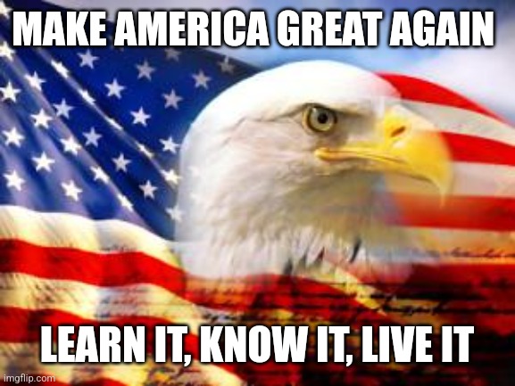 American flag, | MAKE AMERICA GREAT AGAIN; LEARN IT, KNOW IT, LIVE IT | image tagged in american flag | made w/ Imgflip meme maker