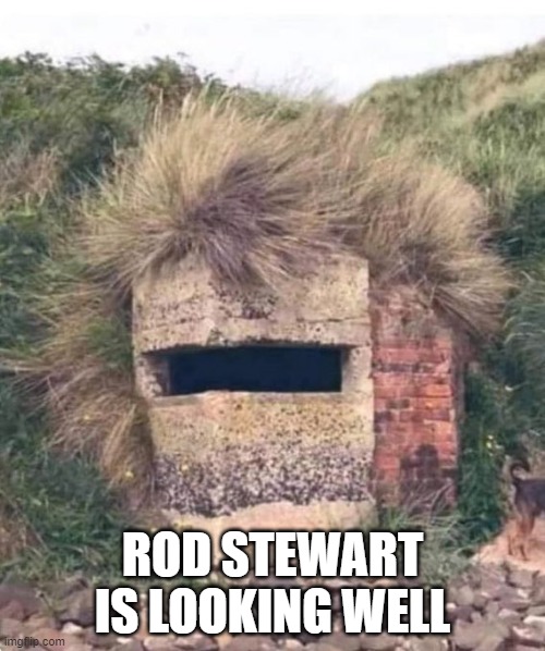 Rod Stewart is looking well. | ROD STEWART IS LOOKING WELL | image tagged in rod stewart | made w/ Imgflip meme maker