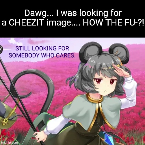 I hate these random images that have nothing to do with your search | Dawg... I was looking for a CHEEZIT image.... HOW THE FU-?! | image tagged in nazrin | made w/ Imgflip meme maker