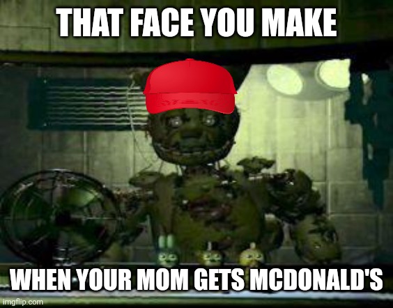 FNAF Springtrap in window | THAT FACE YOU MAKE; WHEN YOUR MOM GETS MCDONALD'S | image tagged in fnaf springtrap in window | made w/ Imgflip meme maker