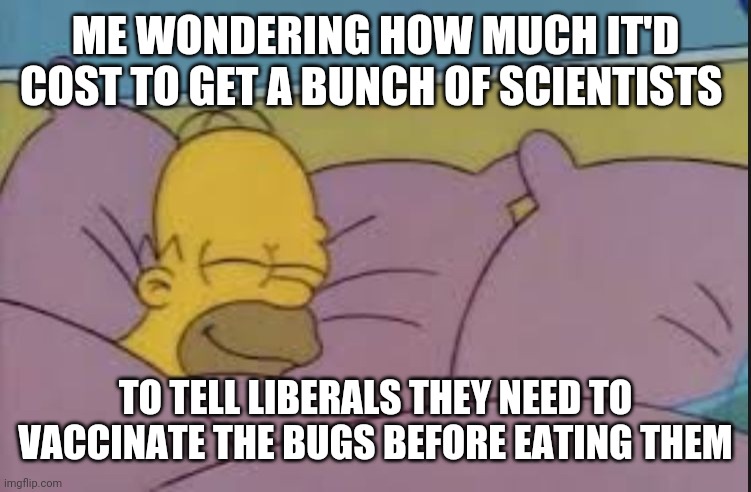 how i sleep homer simpson | ME WONDERING HOW MUCH IT'D COST TO GET A BUNCH OF SCIENTISTS; TO TELL LIBERALS THEY NEED TO VACCINATE THE BUGS BEFORE EATING THEM | image tagged in how i sleep homer simpson | made w/ Imgflip meme maker