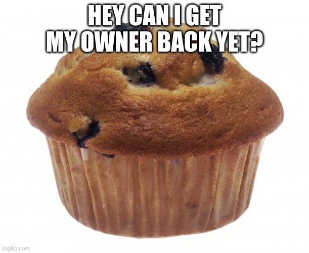 questioning u guys (T_G_M - didn't you see the last post? If you didn't read the disc of the stream... We discussed this...) | HEY CAN I GET MY OWNER BACK YET? | image tagged in popular opinion muffin,sammy,muffin,memes,funny,owner | made w/ Imgflip meme maker
