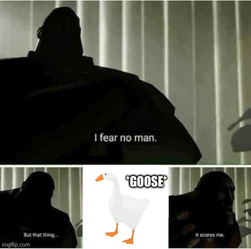 I fear no man | *GOOSE* | image tagged in i fear no man | made w/ Imgflip meme maker