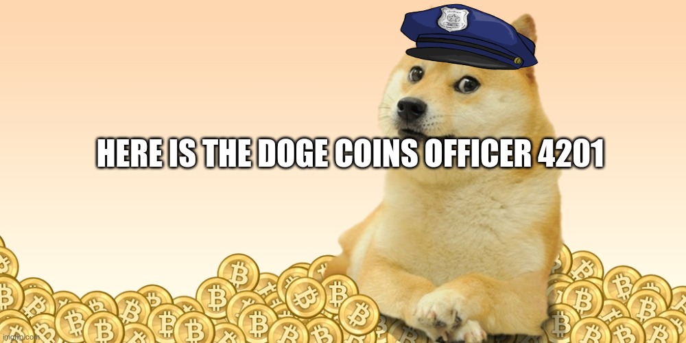 Doge Coin | HERE IS THE DOGE COINS OFFICER 4201 | image tagged in doge coin | made w/ Imgflip meme maker