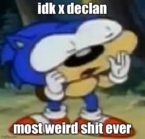sonic huh? | idk x declan; most weird shit ever | image tagged in sonic huh | made w/ Imgflip meme maker