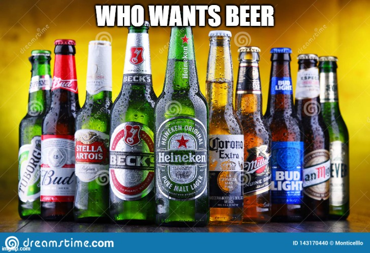 Beer bottles | WHO WANTS BEER | image tagged in beer bottles | made w/ Imgflip meme maker