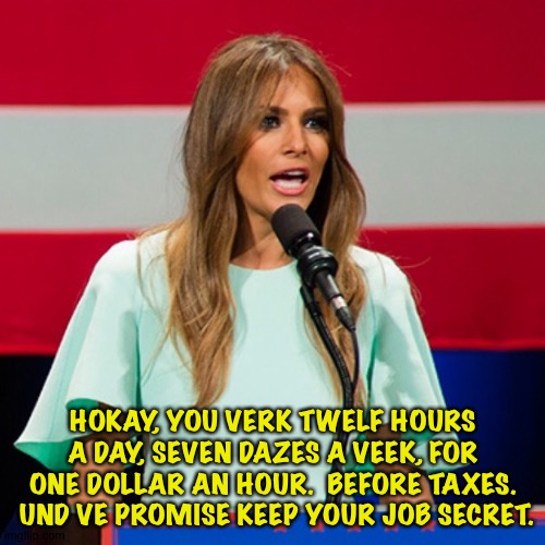 Melania Trump | HOKAY, YOU VERK TWELF HOURS A DAY, SEVEN DAZES A VEEK, FOR ONE DOLLAR AN HOUR.  BEFORE TAXES.  UND VE PROMISE KEEP YOUR JOB SECRET. | image tagged in melania trump | made w/ Imgflip meme maker