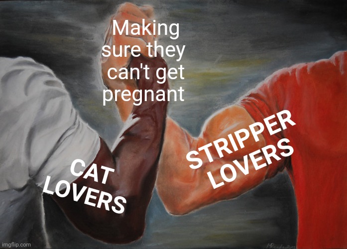 Epic Handshake Meme | CAT LOVERS Making sure they 
can't get
pregnant STRIPPER LOVERS | image tagged in memes,epic handshake | made w/ Imgflip meme maker