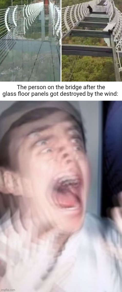 Chinese glass bridge | The person on the bridge after the glass floor panels got destroyed by the wind: | image tagged in freaking out,glass,bridge,memes,meme,bridges | made w/ Imgflip meme maker