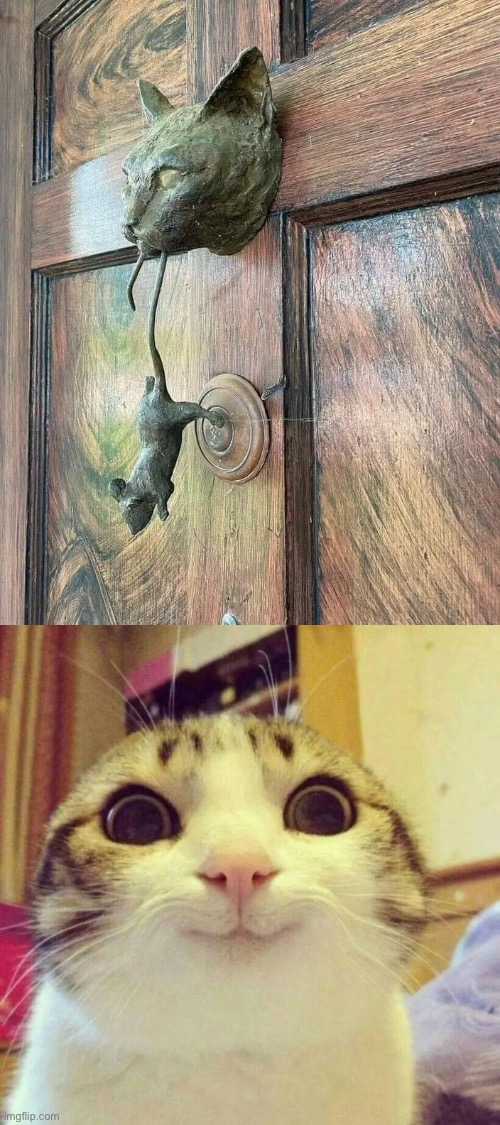 Needs no words | image tagged in memes,smiling cat,door,knock knock | made w/ Imgflip meme maker