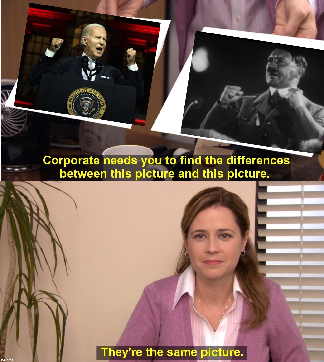 They're the same picture | image tagged in memes,they're the same picture,adolf hitler,joe biden,dictator,biden hates trump voters | made w/ Imgflip meme maker