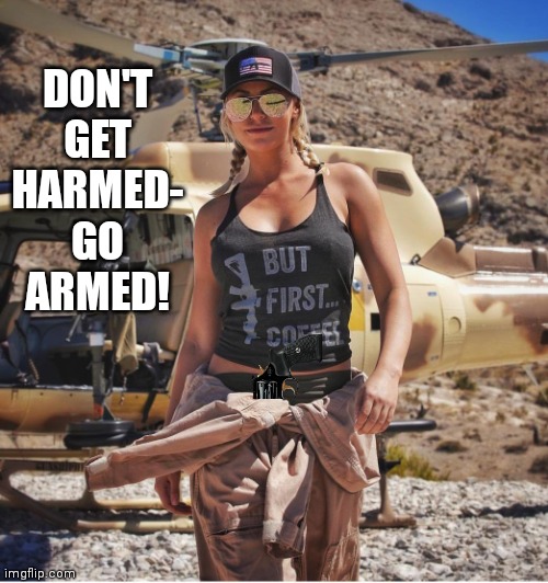 Don't get harmed | DON'T GET HARMED- GO ARMED! | image tagged in brace yourself | made w/ Imgflip meme maker
