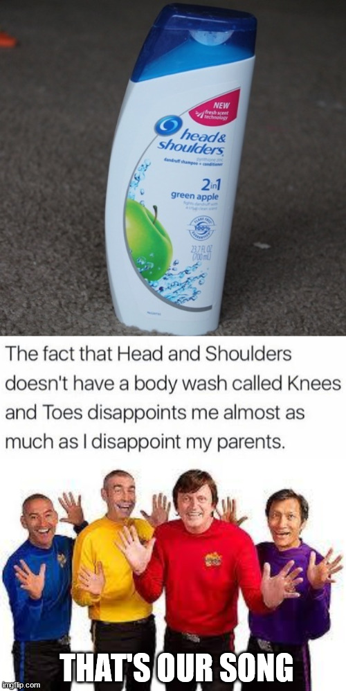 THAT'S OUR SONG | image tagged in head and shoulders,the wiggles | made w/ Imgflip meme maker