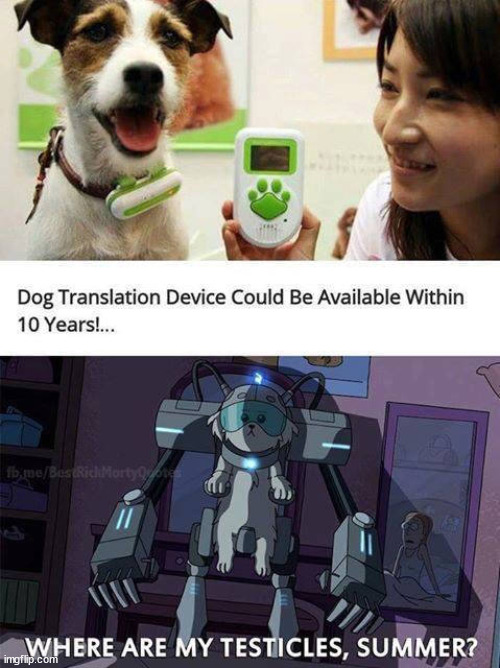 image tagged in dogs | made w/ Imgflip meme maker